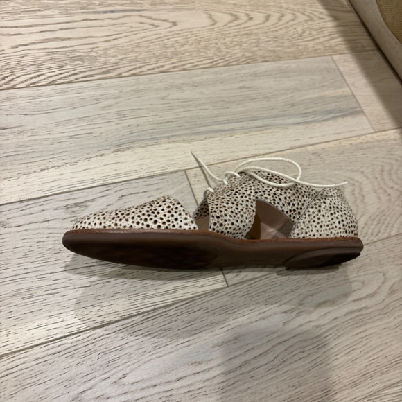 Loeffler Randal Shows - Picture 2 of 5